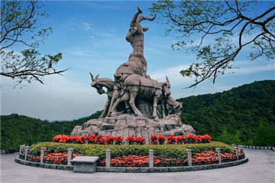 95场是深圳龙华区的娱乐场所,提供全天候娱乐活动 95场是深圳龙华区的娱乐场所,提供全天候娱乐活动